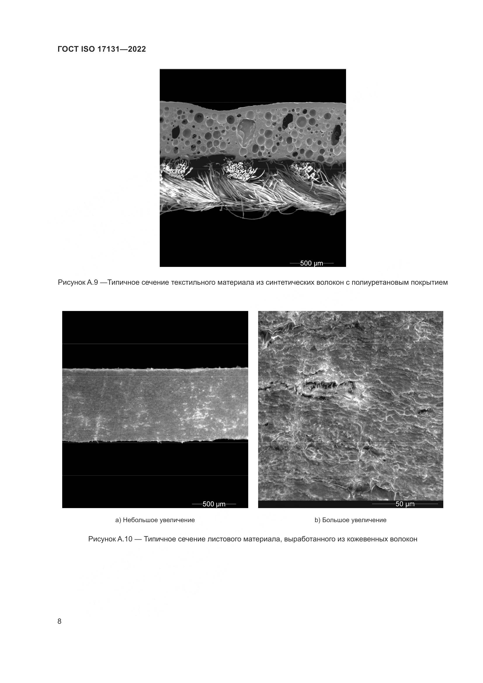 ГОСТ EN 17131-2022, страница 14