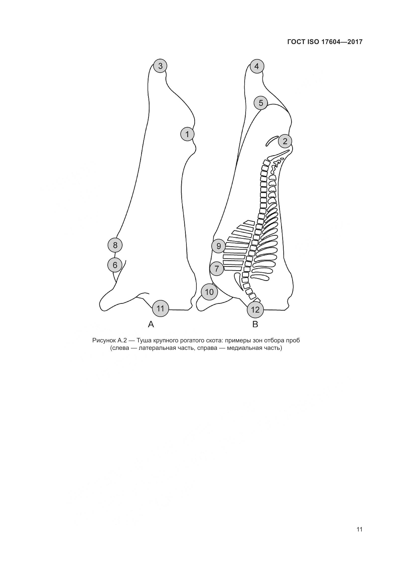 ГОСТ ISO 17604-2017, страница 15