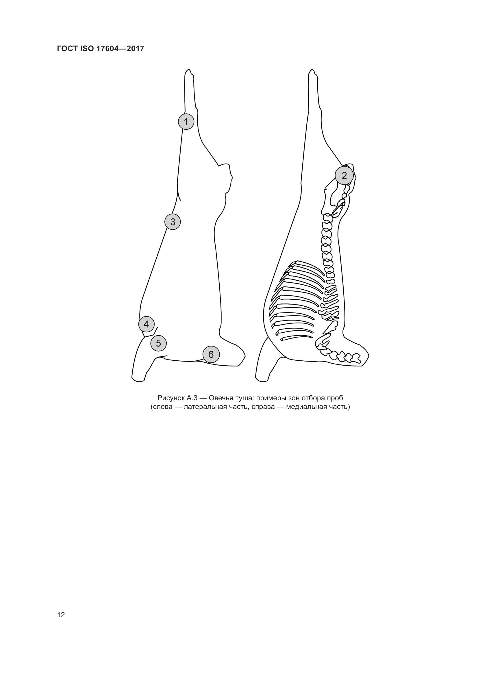 ГОСТ ISO 17604-2017, страница 16