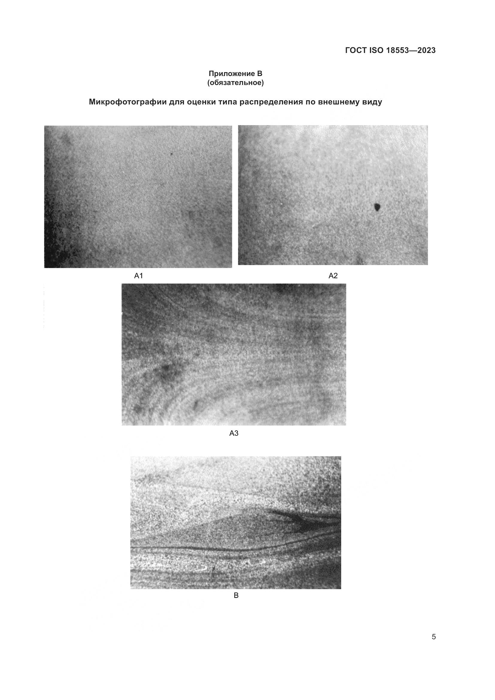 ГОСТ ISO 18553-2023, страница 9