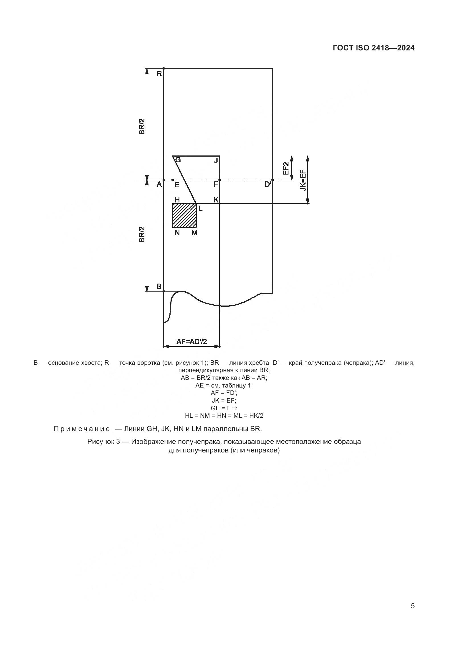 ГОСТ ISO 2418-2024, страница 10