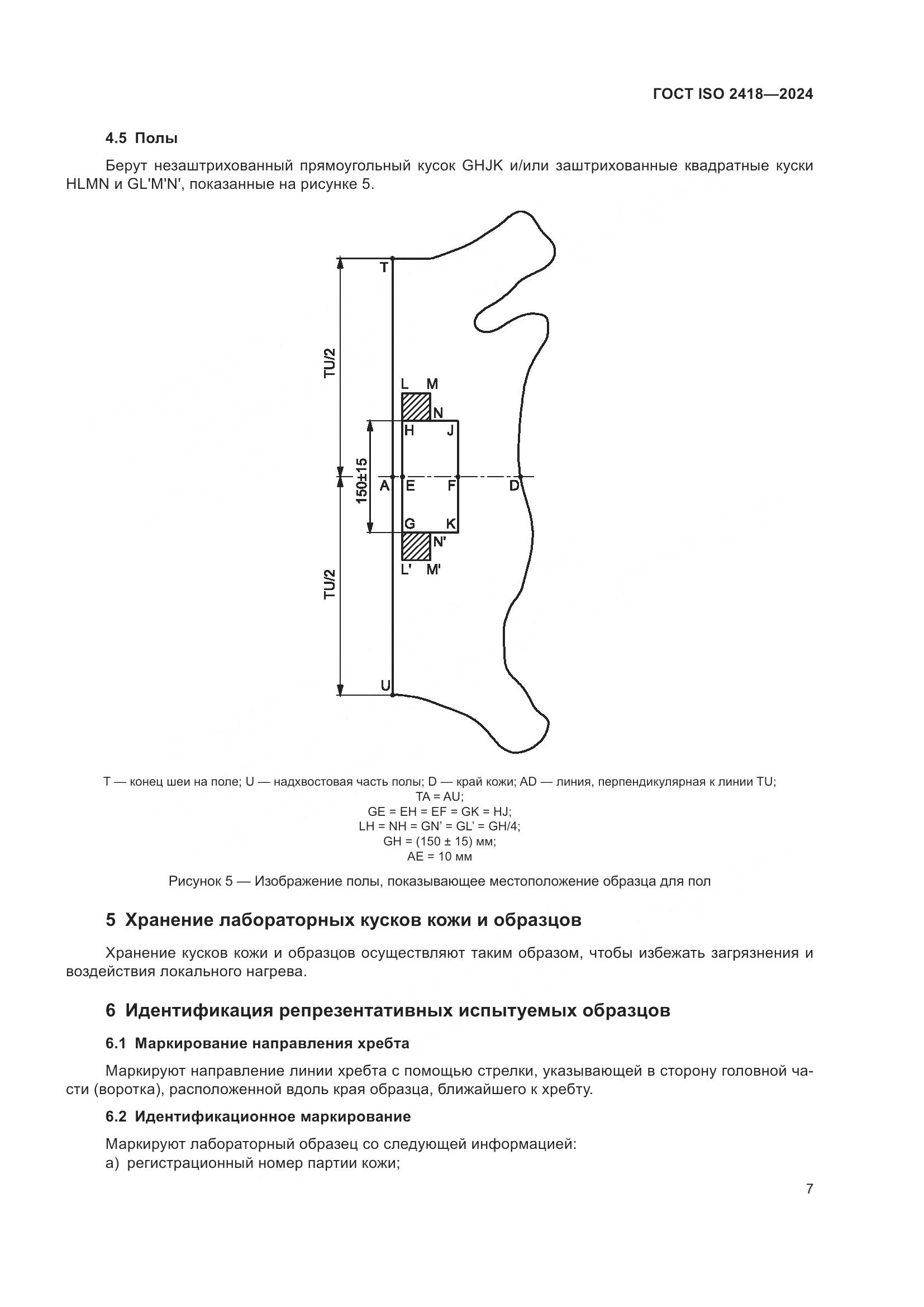 ГОСТ ISO 2418-2024, страница 12