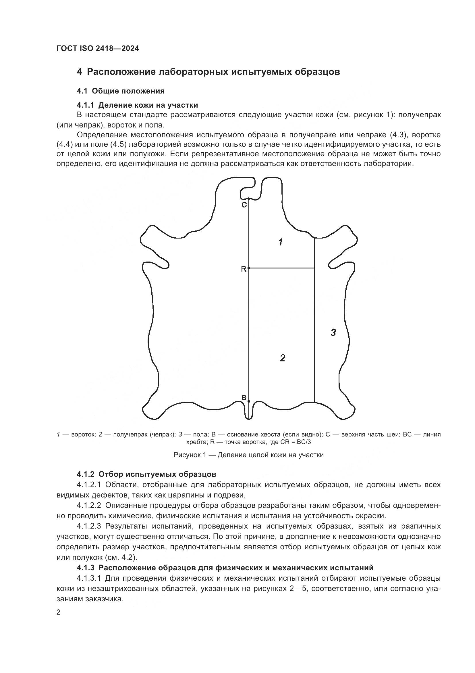 ГОСТ ISO 2418-2024, страница 7