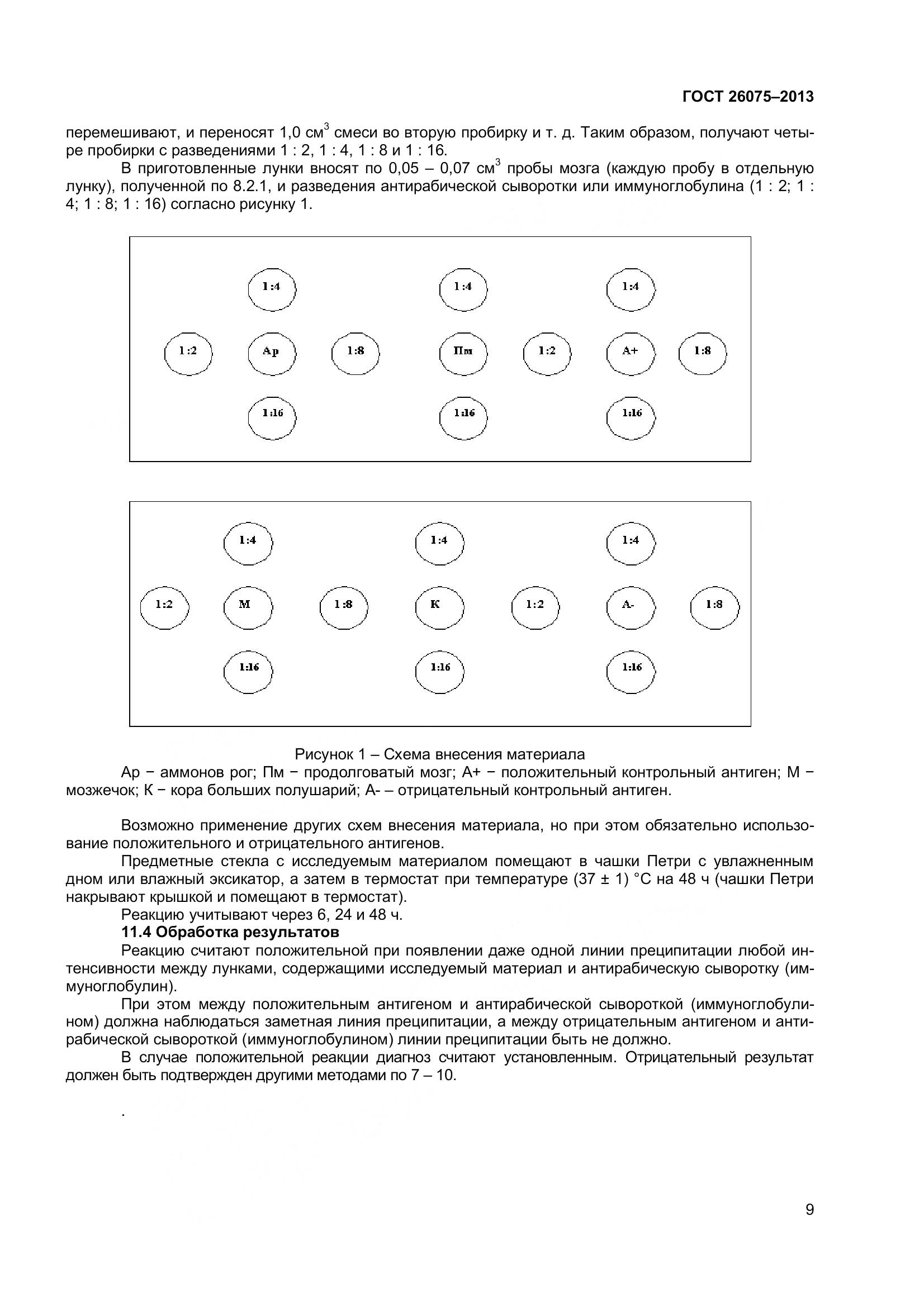 ГОСТ 26075-2013, страница 13