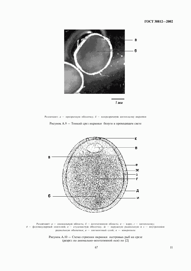 ГОСТ 30812-2002, страница 13