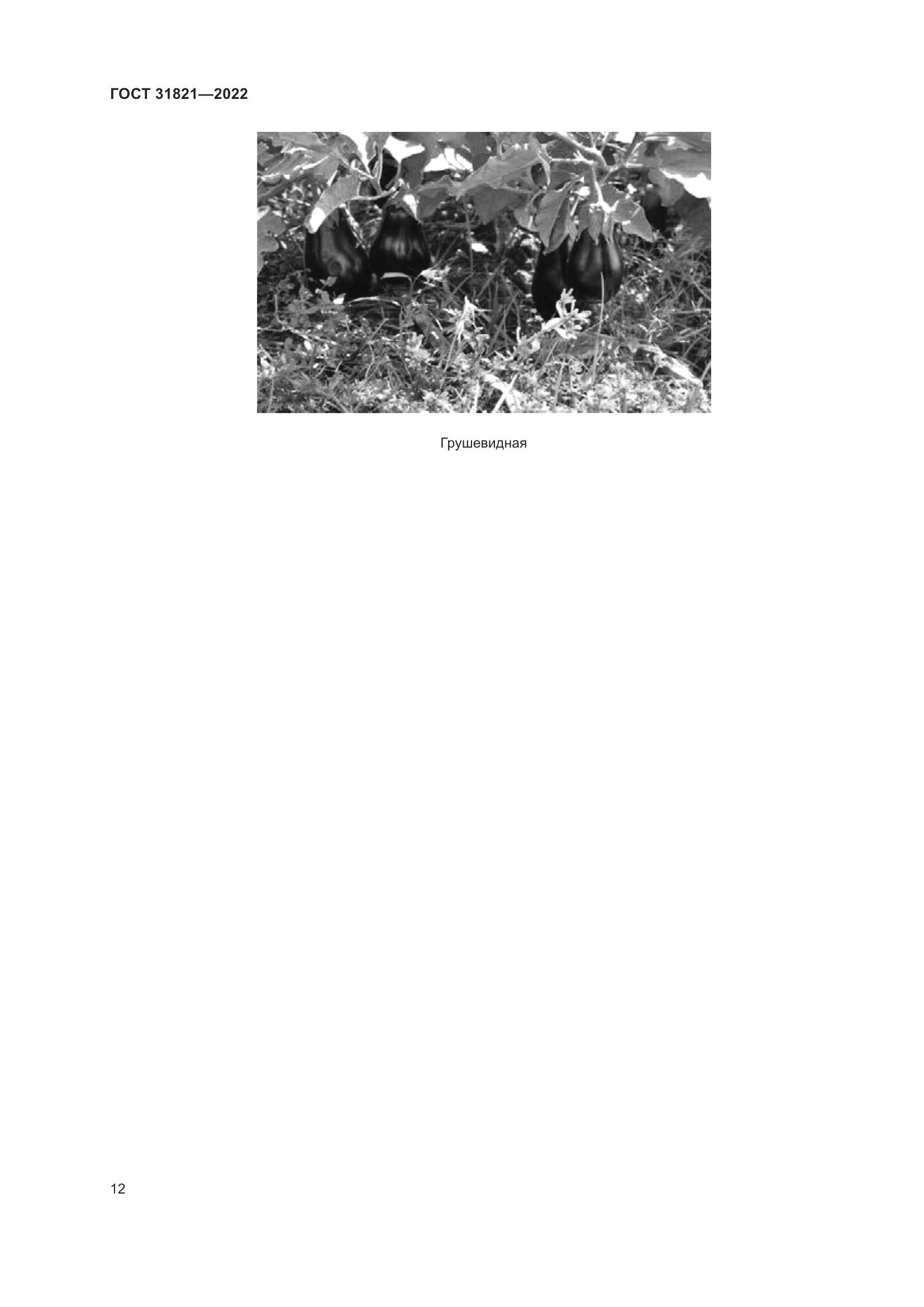 ГОСТ  31821-2022, страница 16