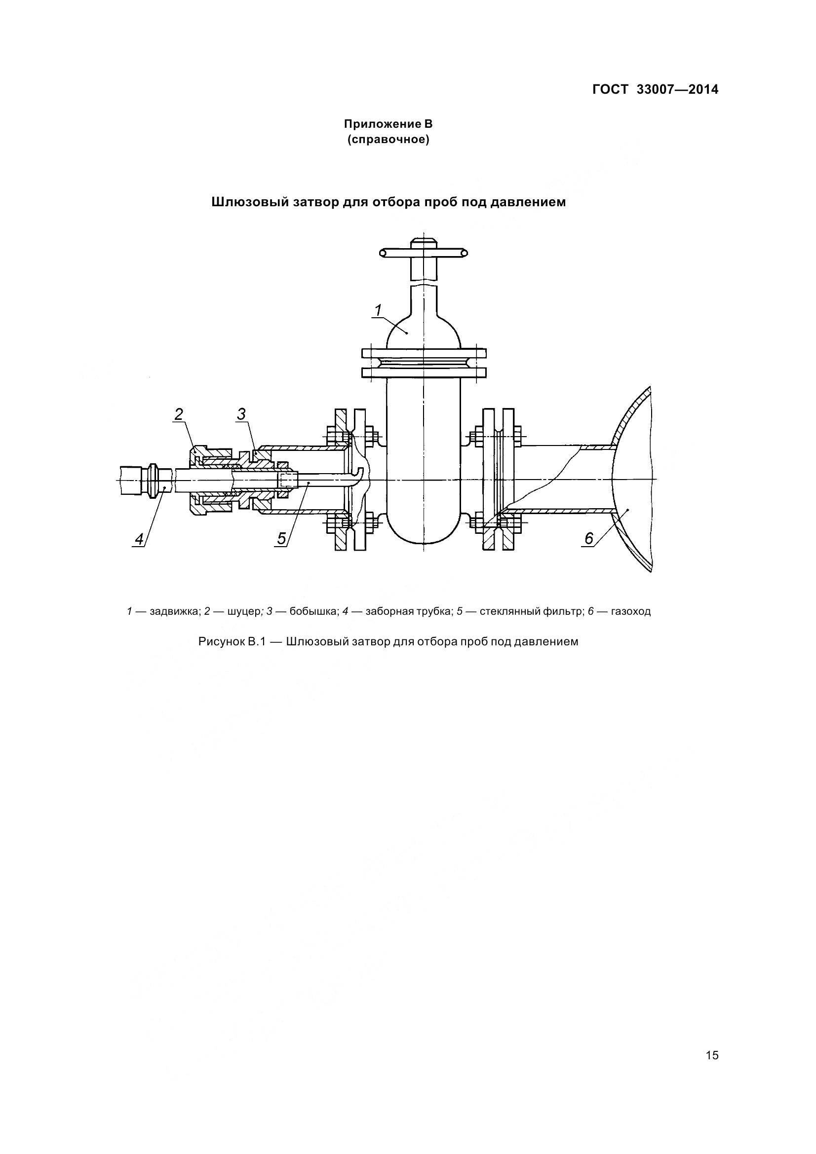 ГОСТ 33007-2014, страница 21