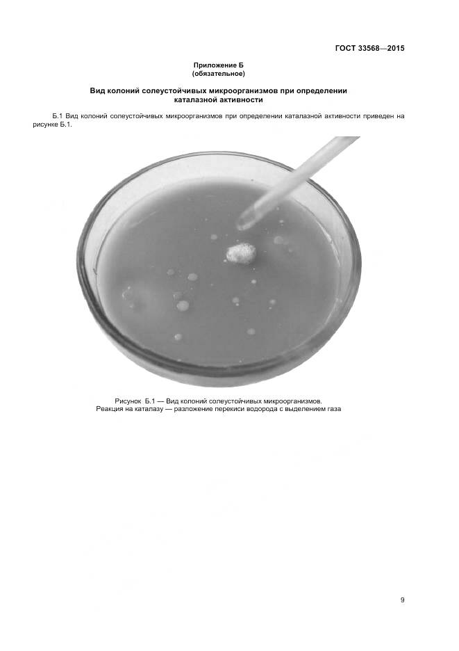 ГОСТ 33568-2015, страница 11