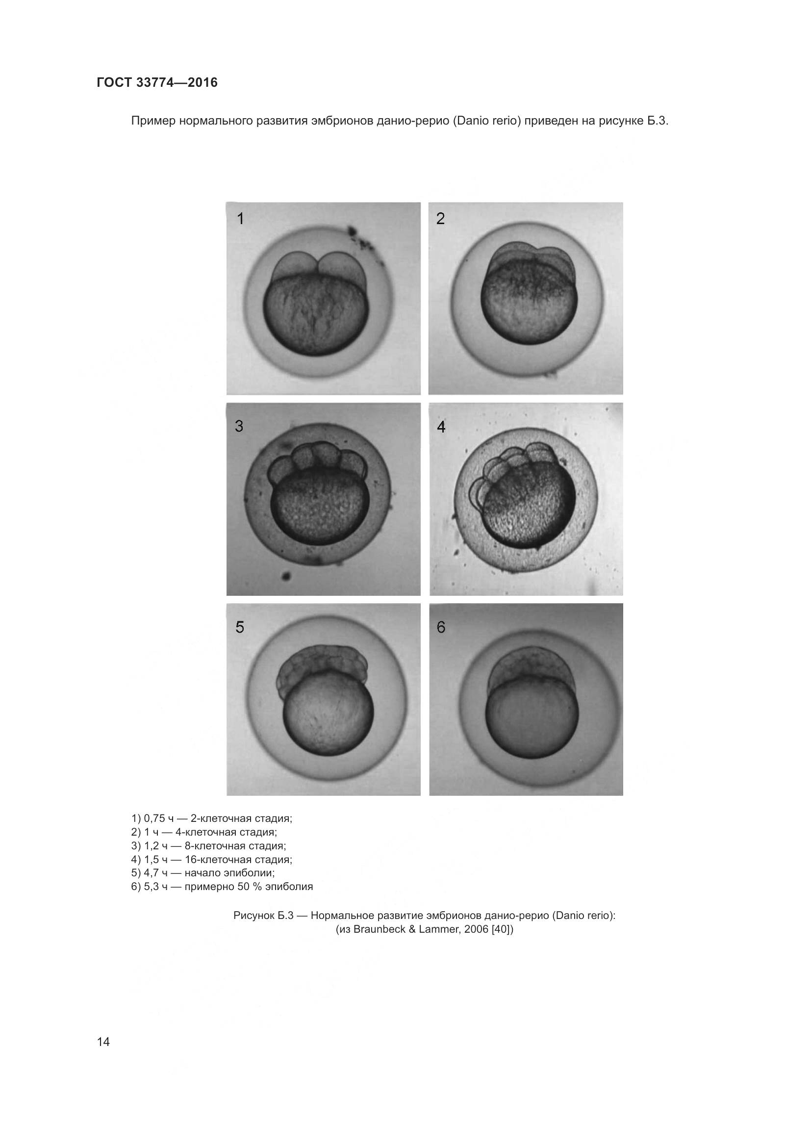 ГОСТ 33774-2016, страница 21