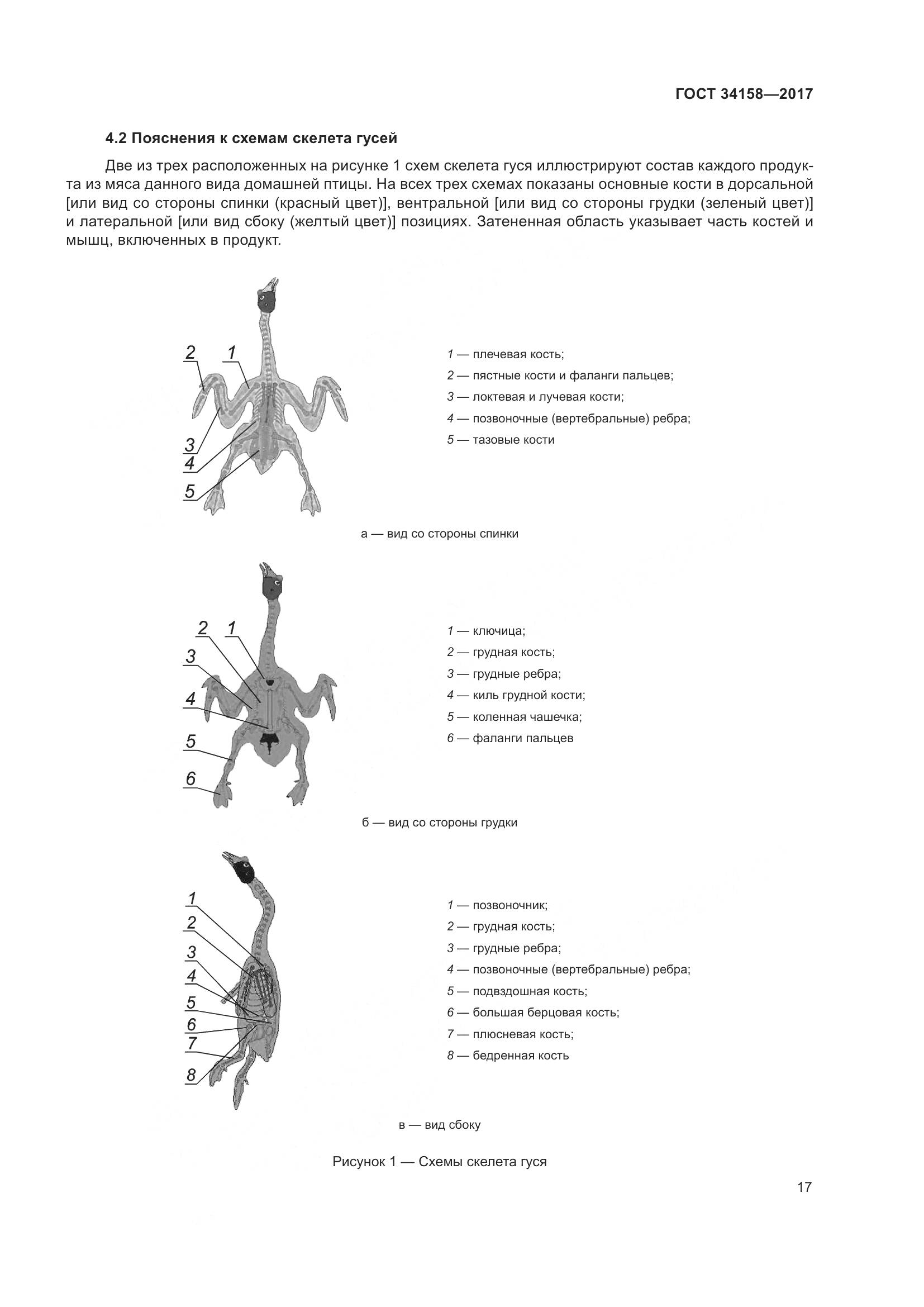 ГОСТ 34158-2017, страница 22