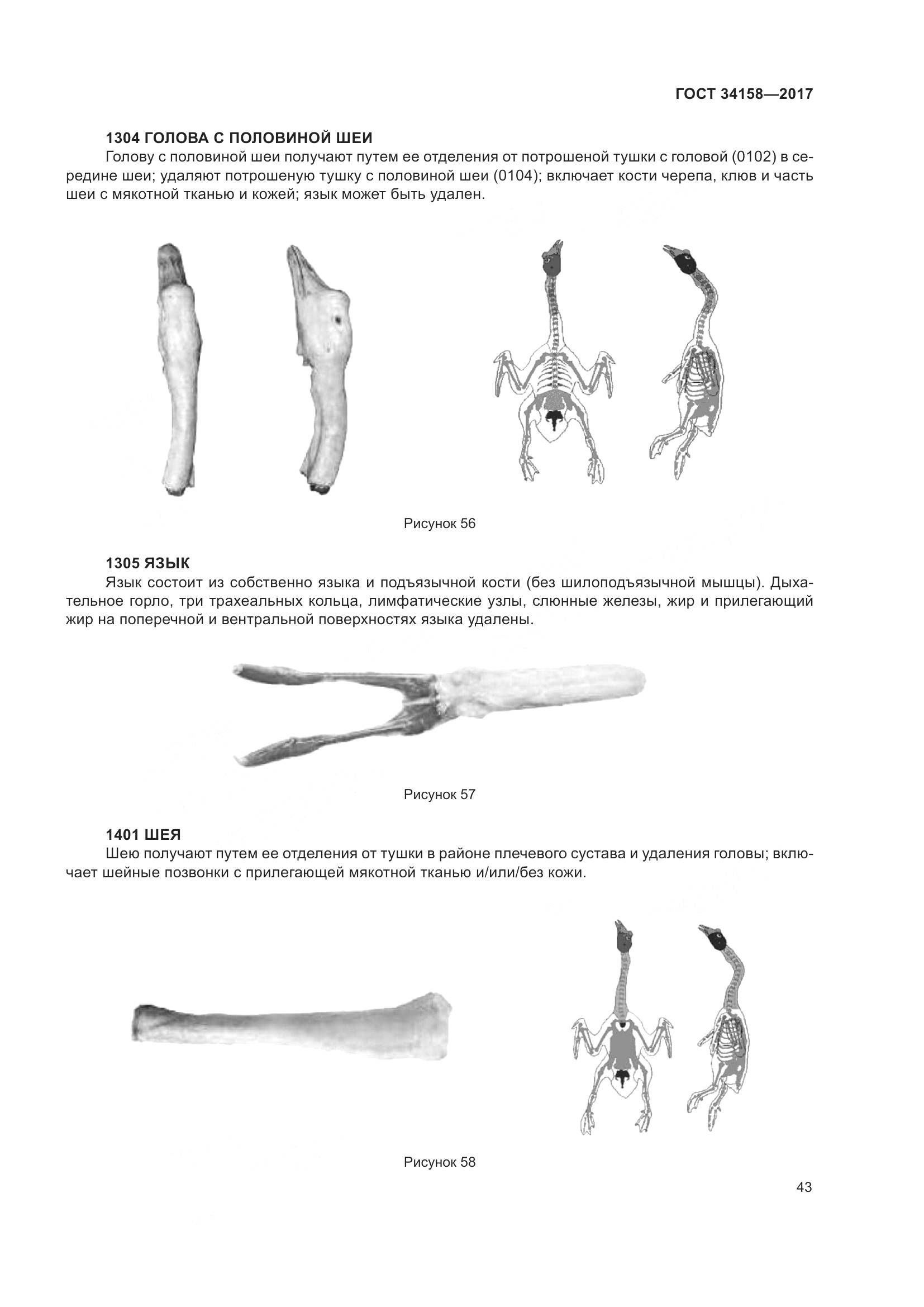 ГОСТ 34158-2017, страница 48