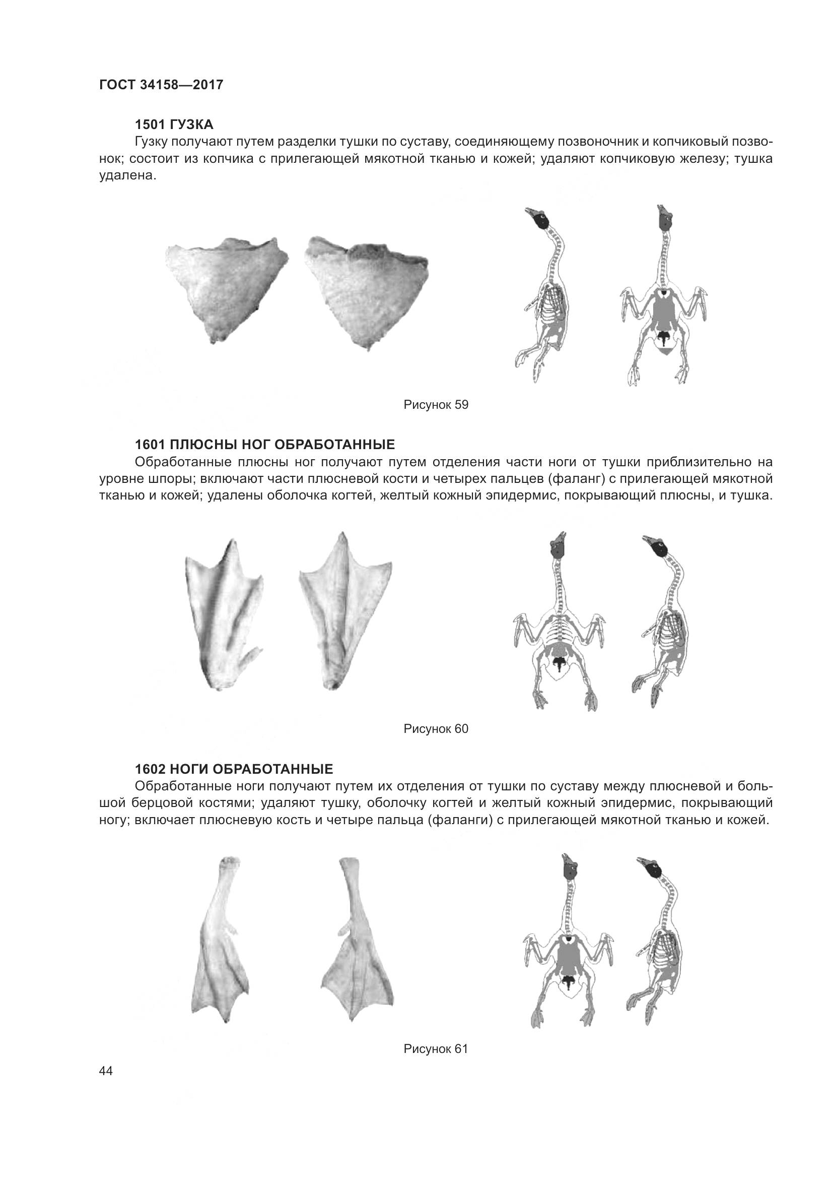 ГОСТ 34158-2017, страница 49