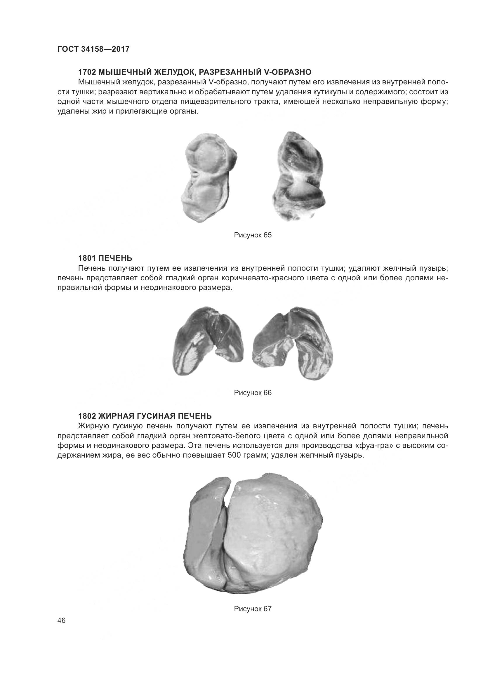 ГОСТ 34158-2017, страница 51