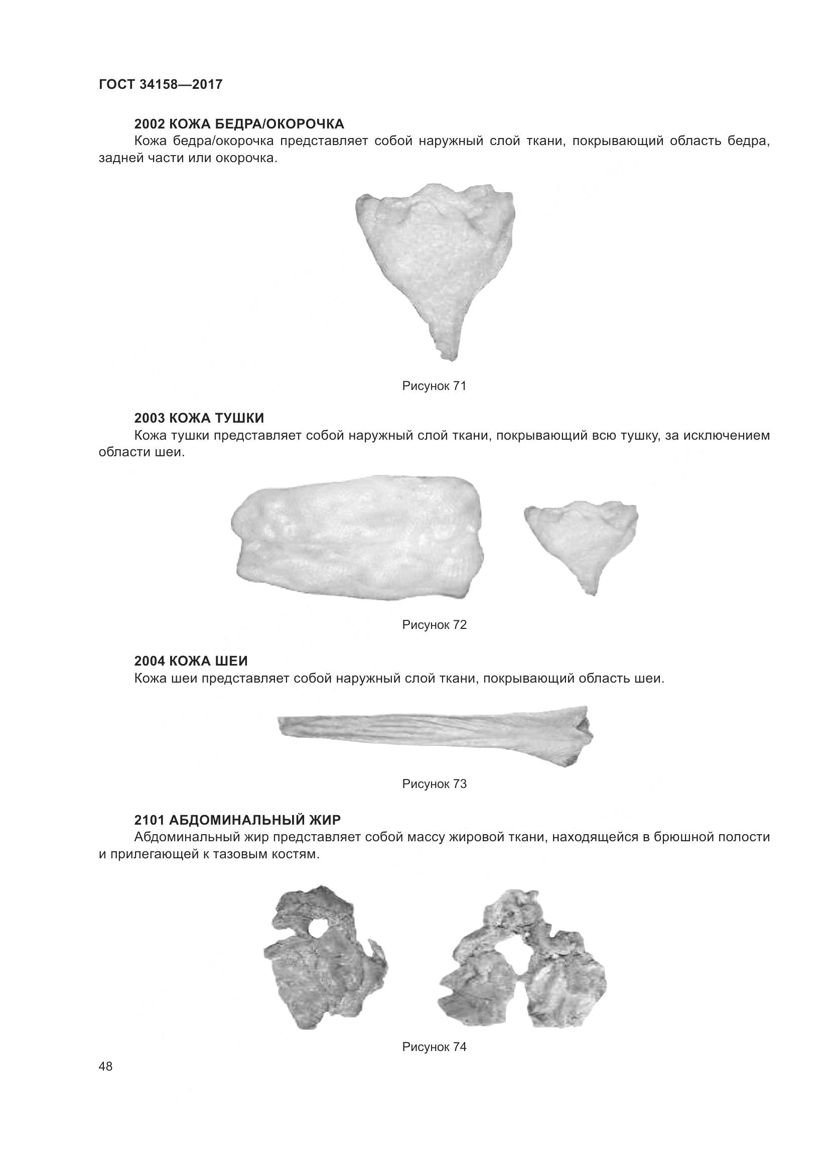 ГОСТ 34158-2017, страница 53