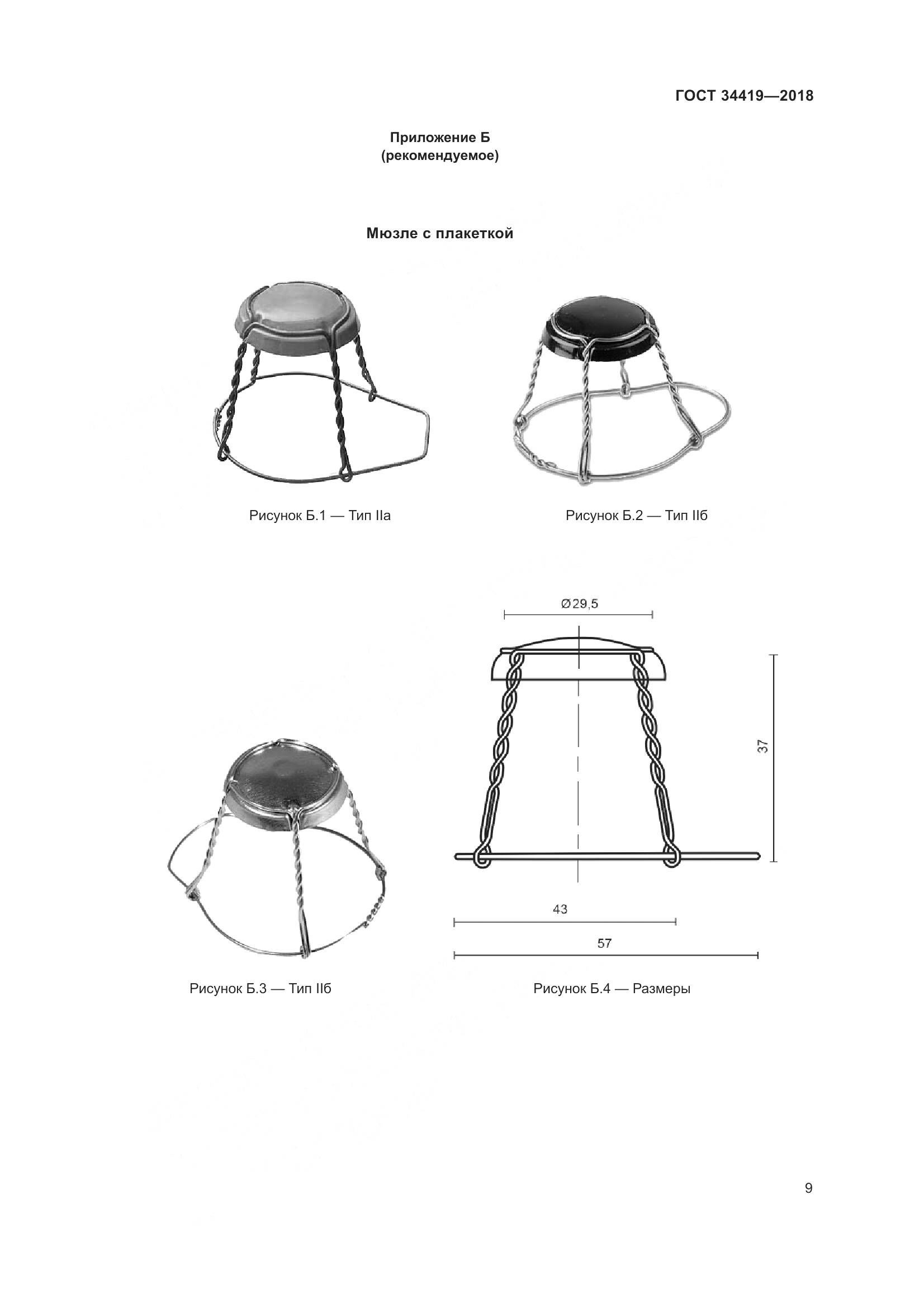 ГОСТ 34419-2018, страница 14