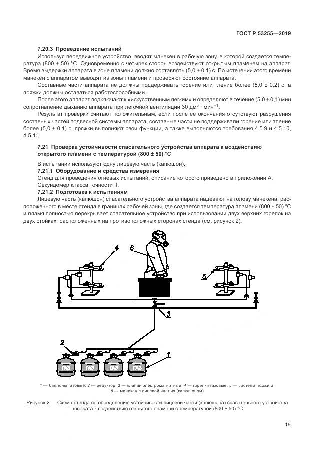 ГОСТ Р  53255-2019, страница 23