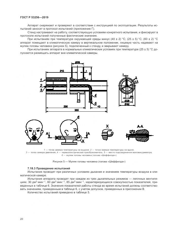 ГОСТ Р  53256-2019, страница 24