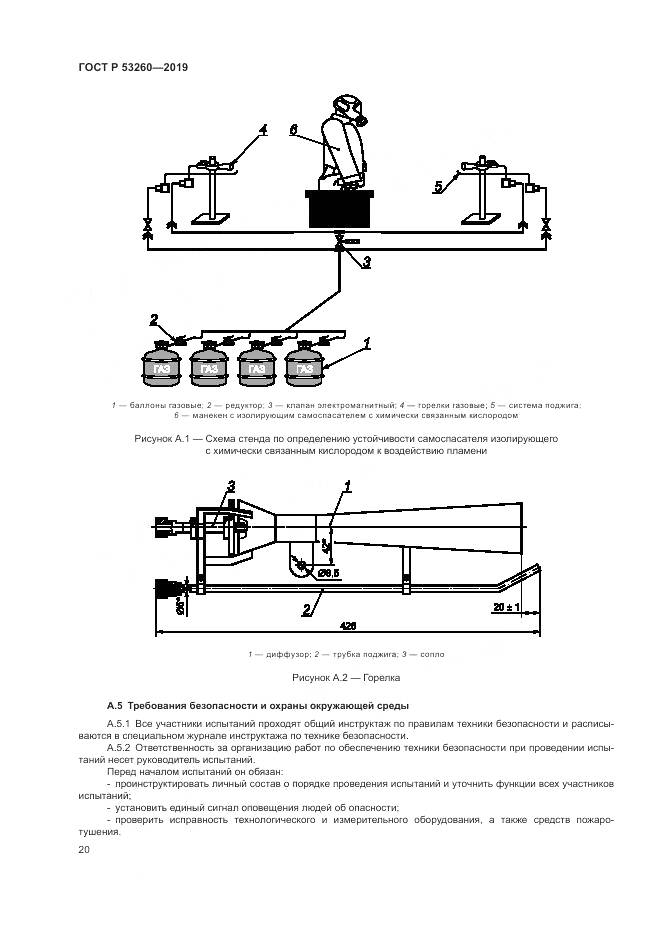 ГОСТ Р  53260-2019, страница 24