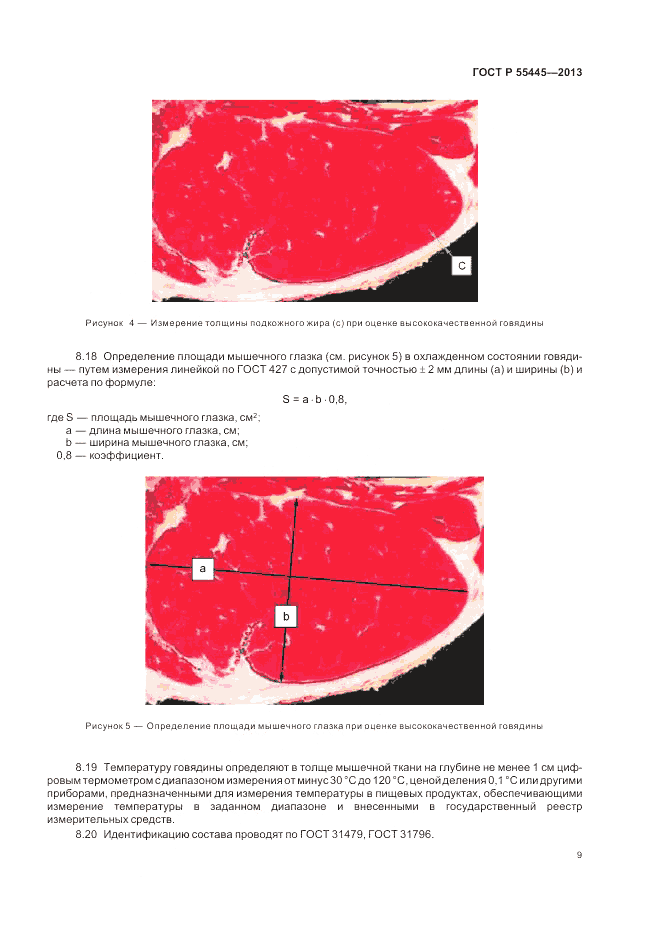 ГОСТ Р 55445-2013, страница 13