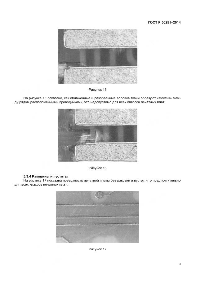ГОСТ Р 56251-2014, страница 13