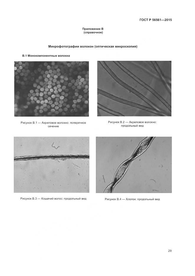 ГОСТ Р 56561-2015, страница 33