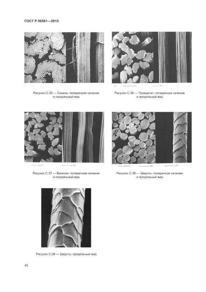 ГОСТ Р 56561-2015, страница 44