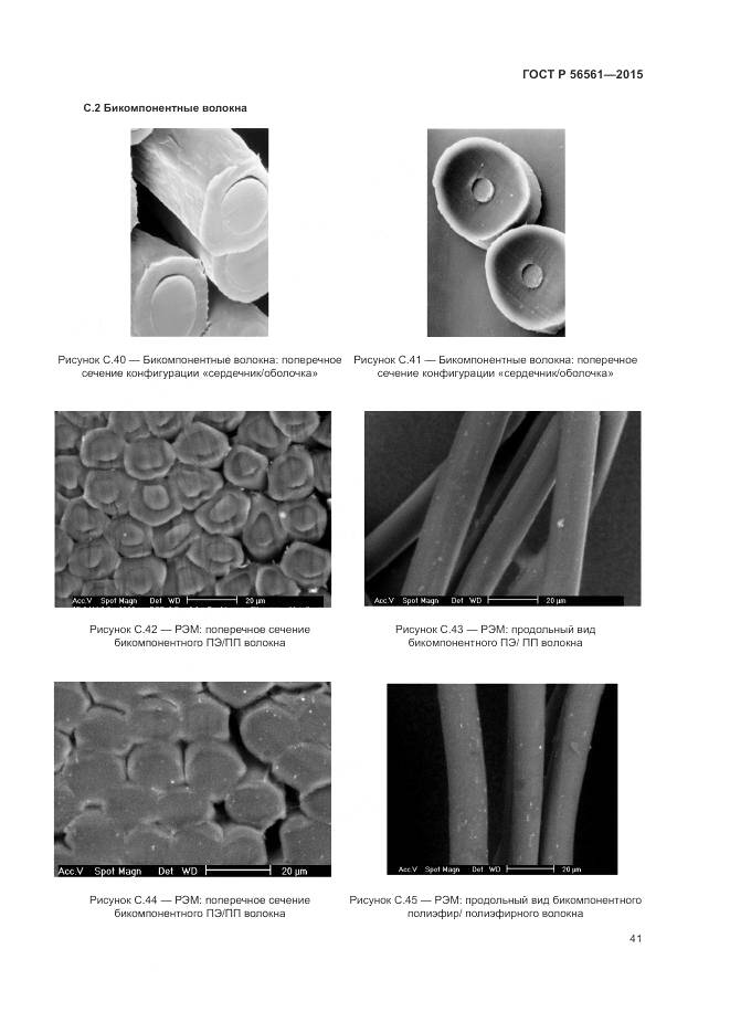 ГОСТ Р 56561-2015, страница 45