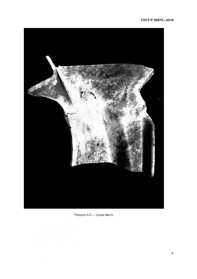 ГОСТ Р 56975-2016, страница 13