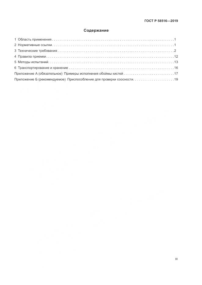 ГОСТ Р  58516-2019, страница 3