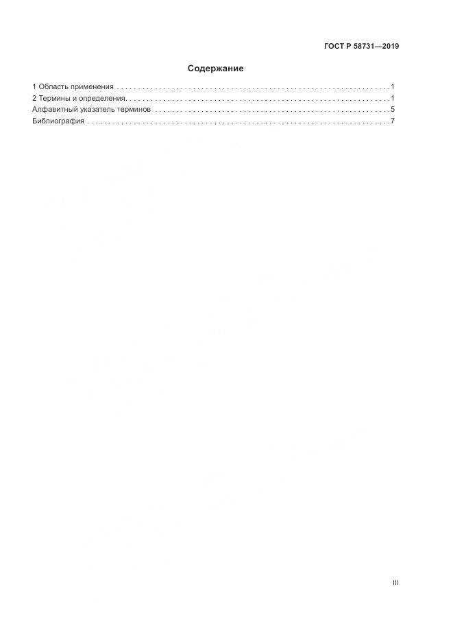 ГОСТ Р  58731-2019, страница 3
