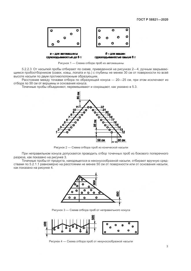 ГОСТ Р  58821-2020, страница 5