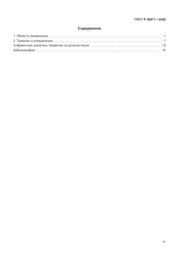 ГОСТ Р  58871-2020, страница 3