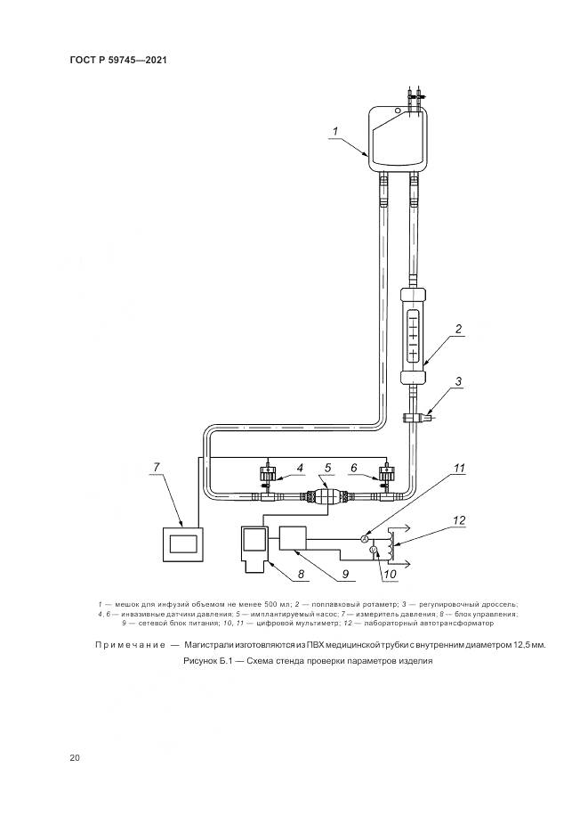 ГОСТ Р  59745-2021, страница 24