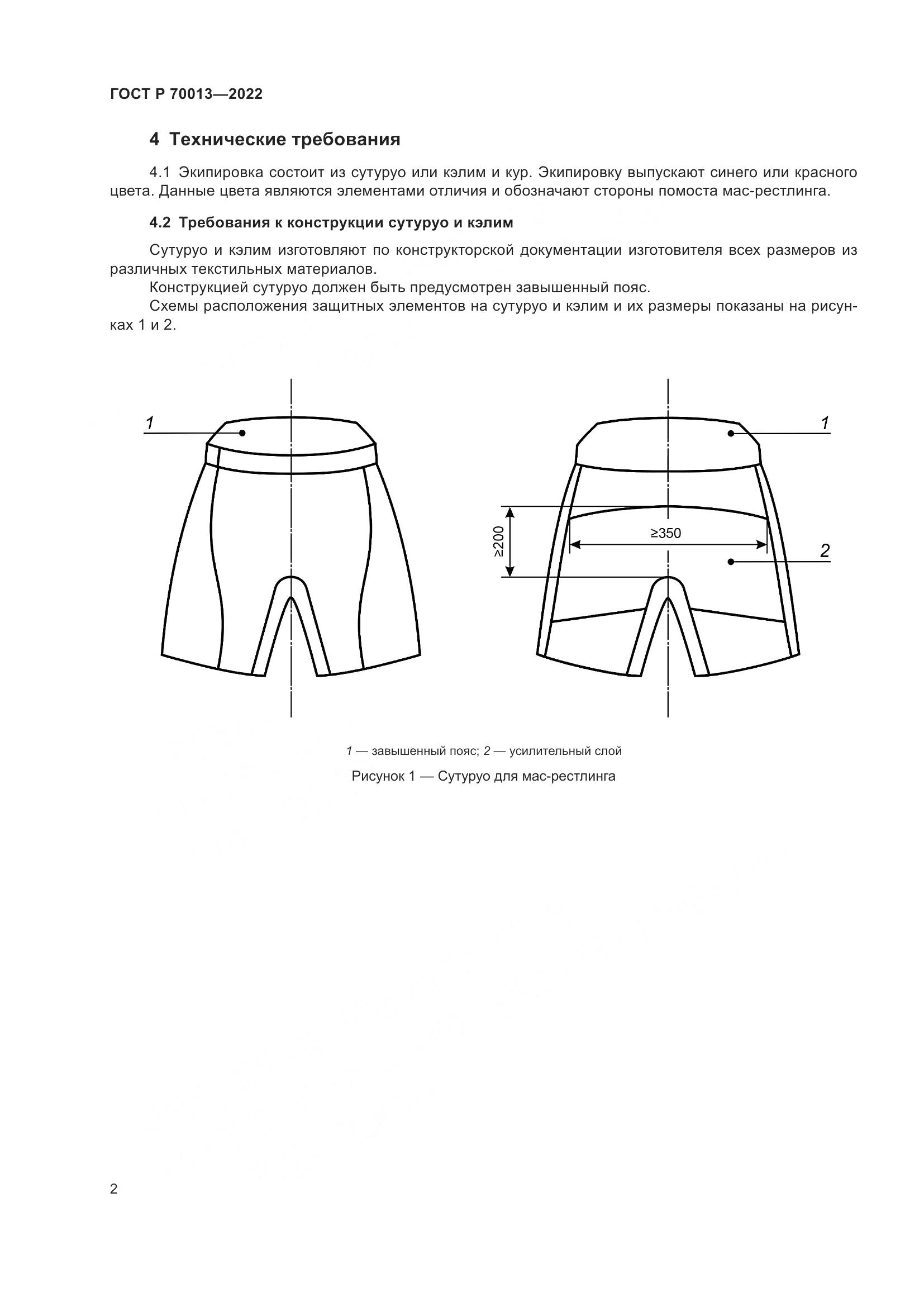 ГОСТ Р  70013-2022, страница 4