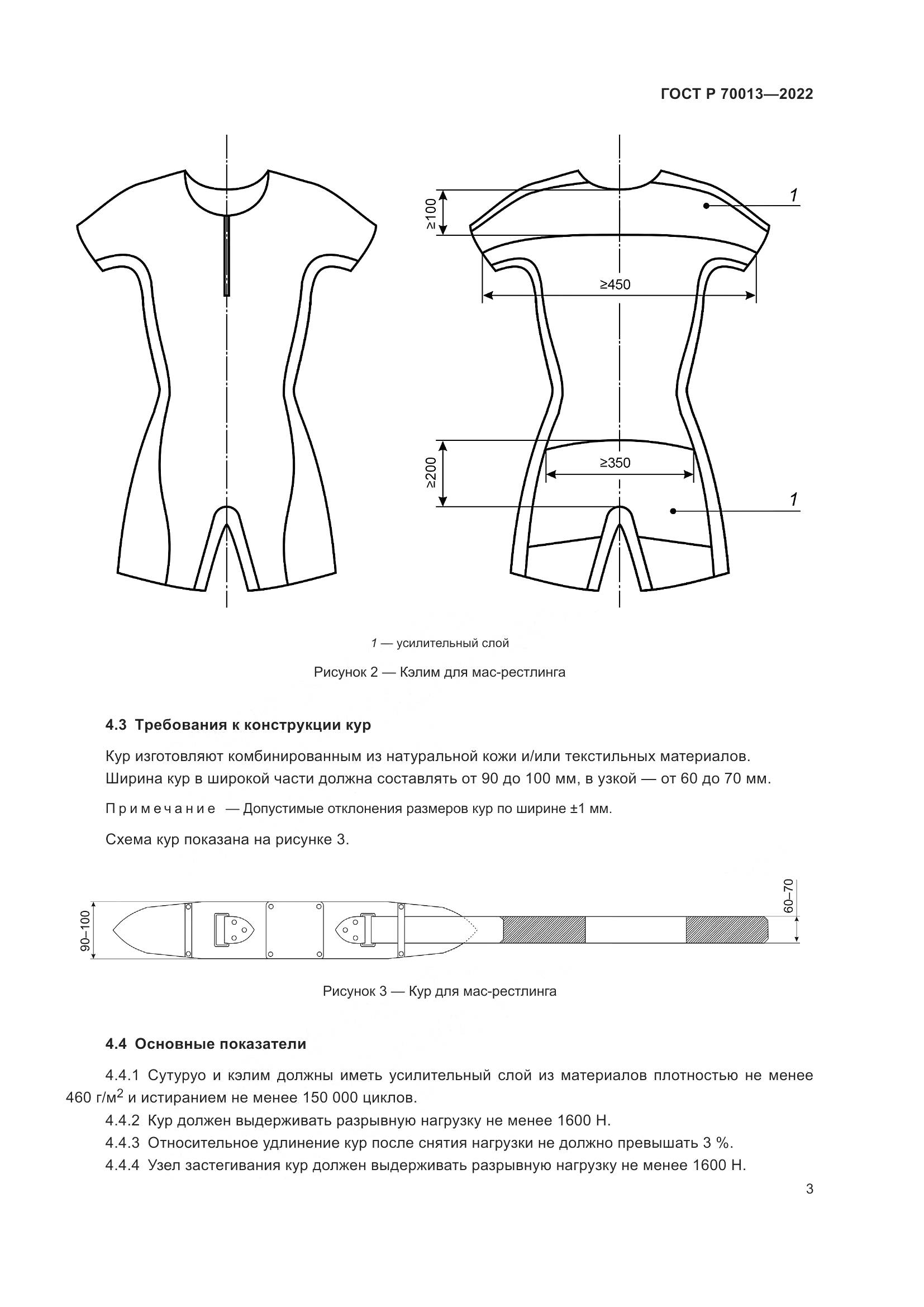 ГОСТ Р  70013-2022, страница 5
