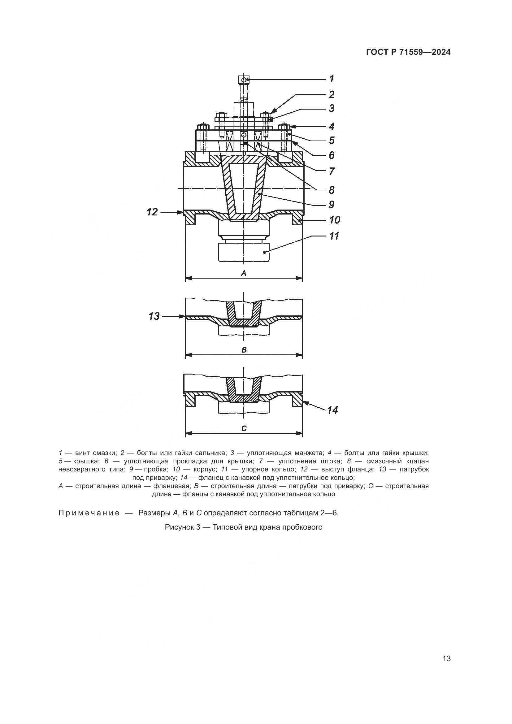ГОСТ Р 71559-2024, страница 17