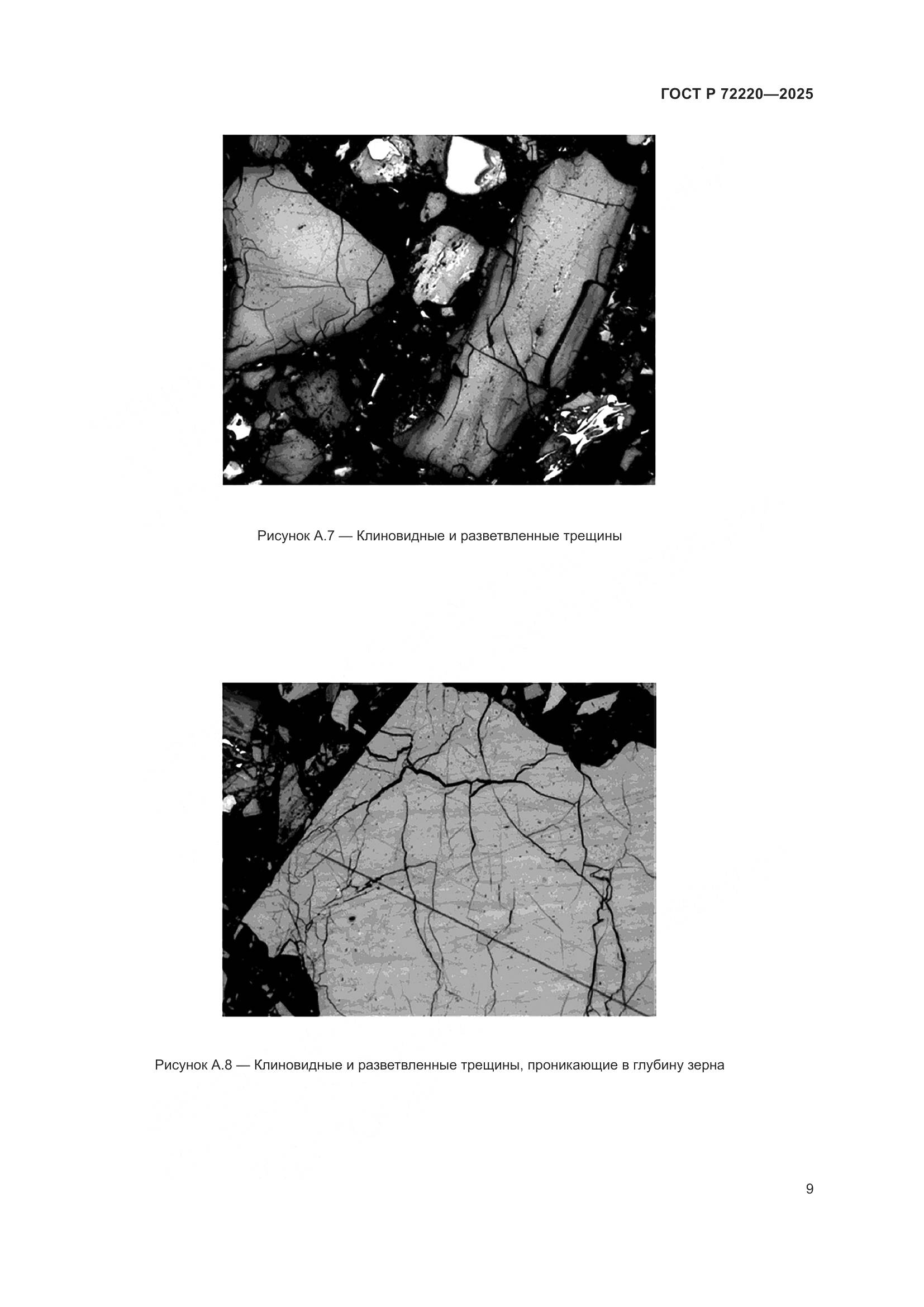 ГОСТ Р 72220-2025, страница 11
