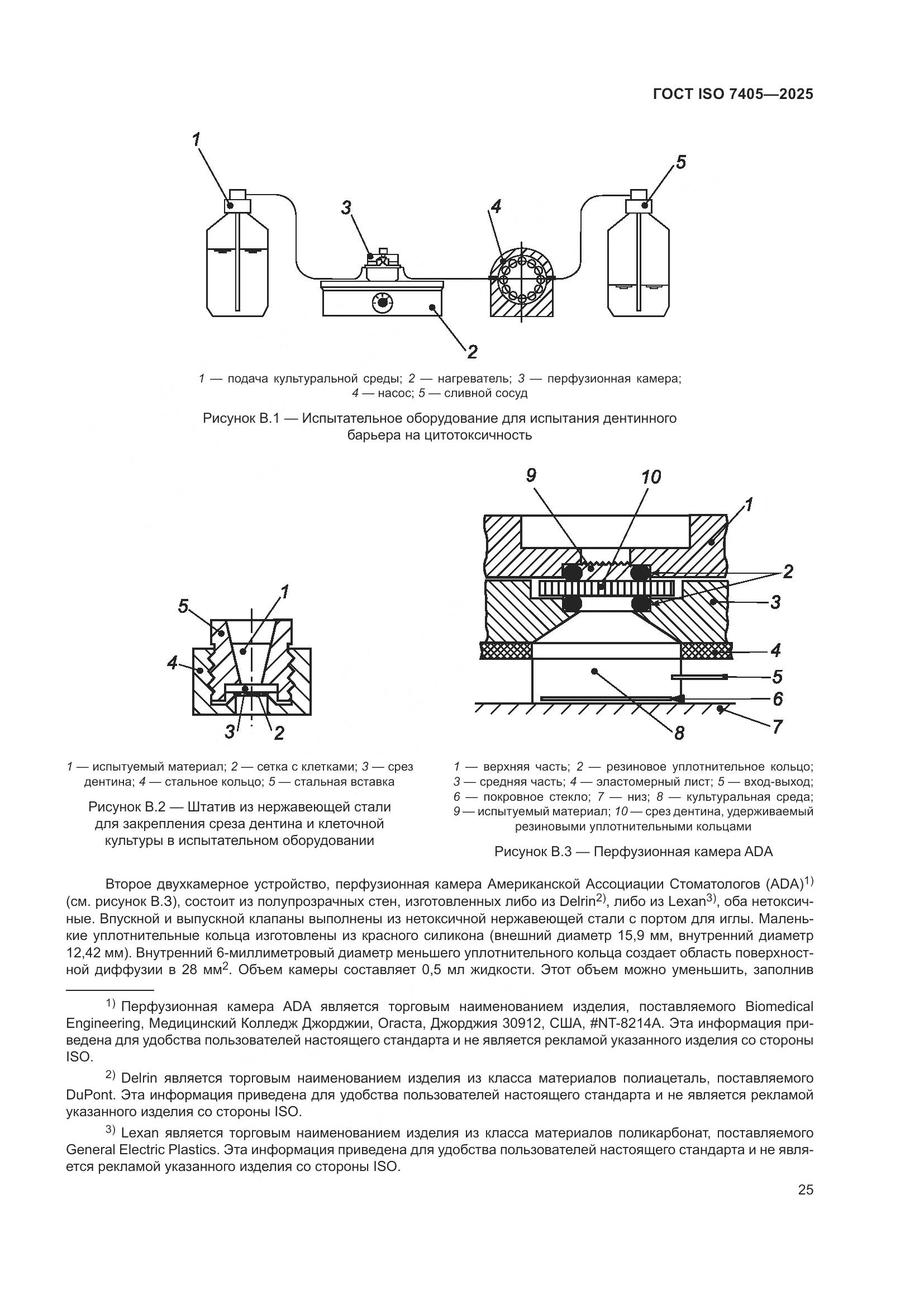 ГОСТ ISO 7405-2025, страница 29