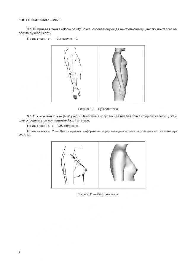 ГОСТ Р ИСО  8559-1-2020, страница 12