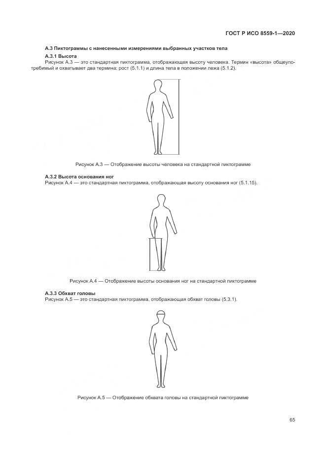 ГОСТ Р ИСО  8559-1-2020, страница 71