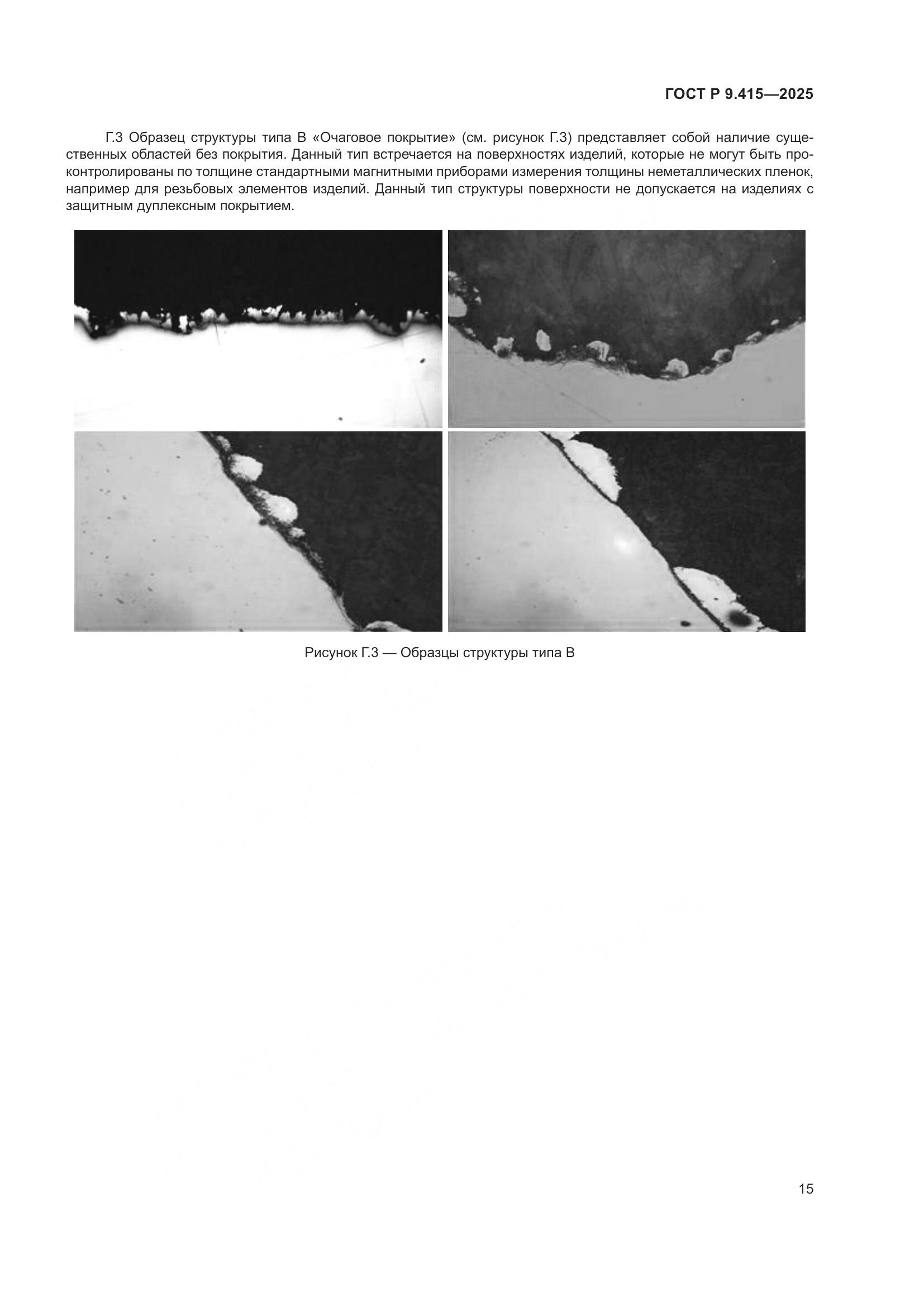 ГОСТ Р 9.415-2025, страница 19