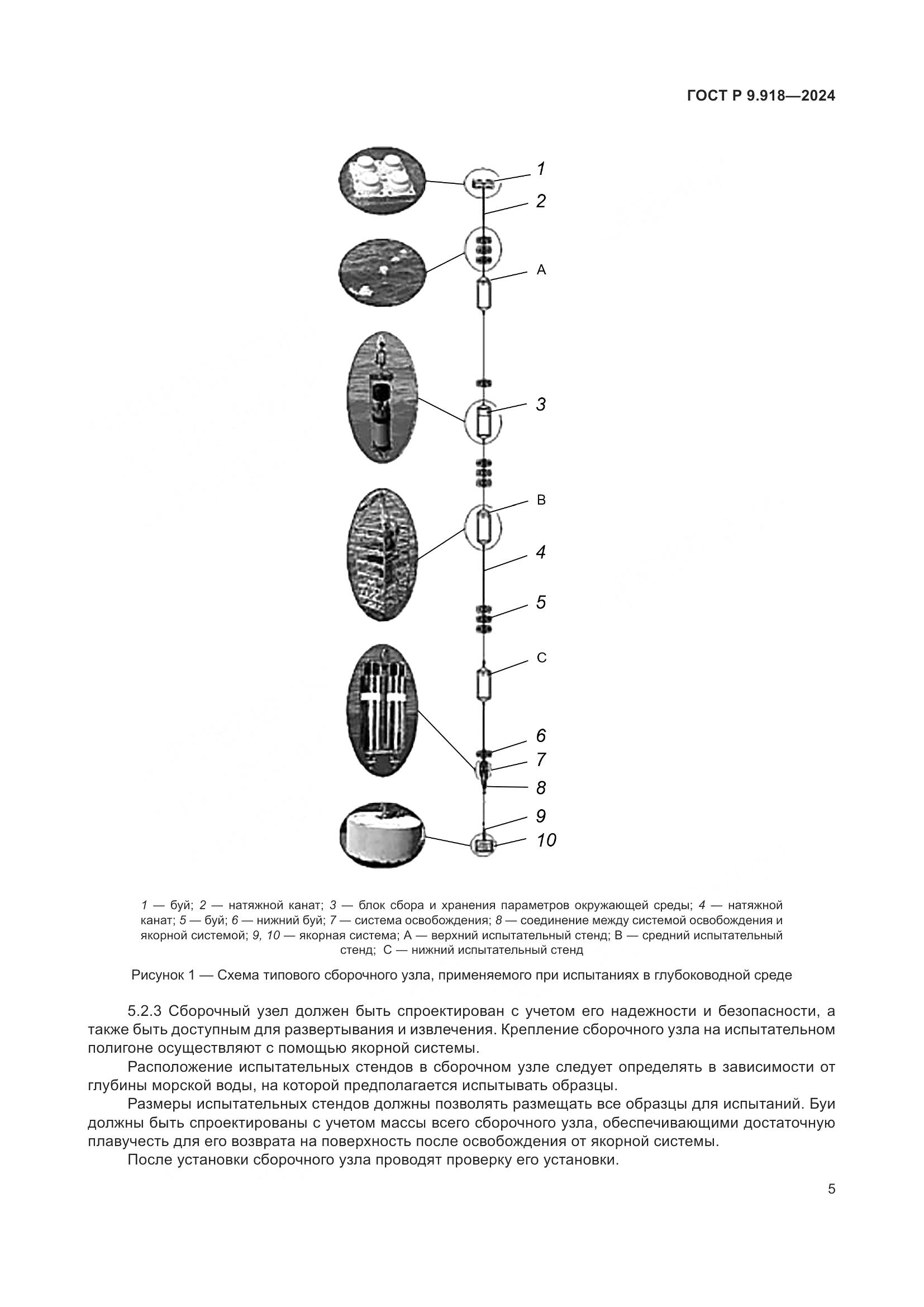 ГОСТ Р 9.918-2024, страница 9